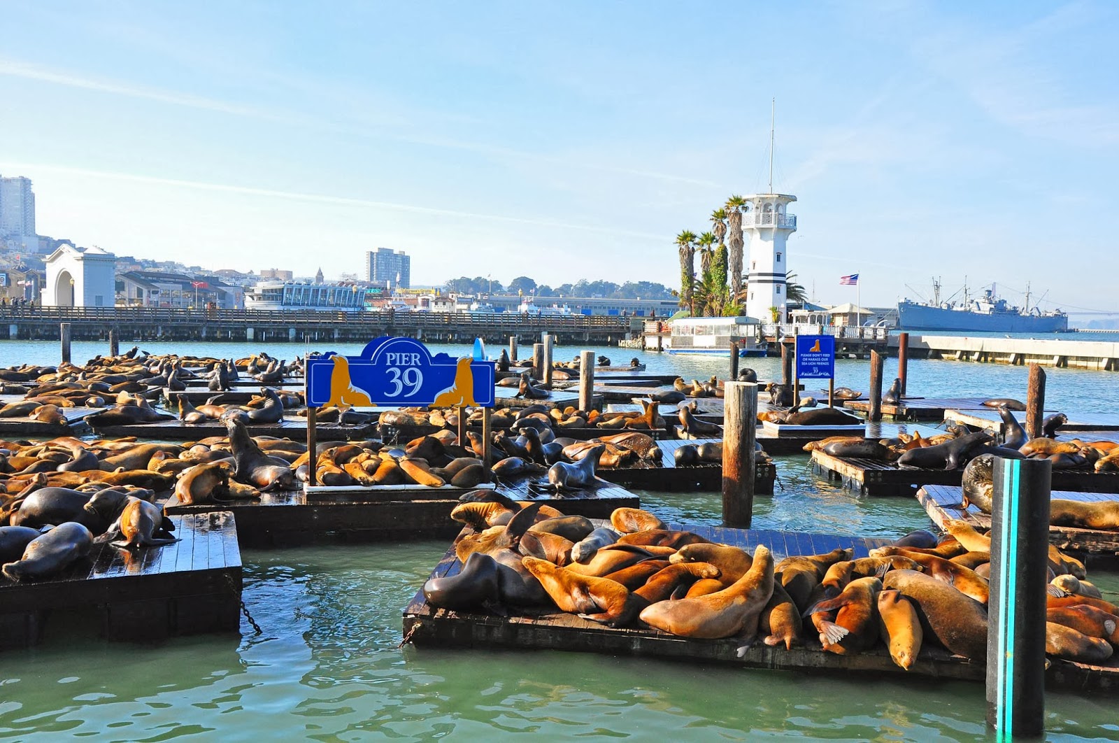 What To Do On A Visit To PIER 39 Fog Harbor