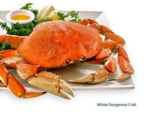 whole dungeness crab steamed and on a plate