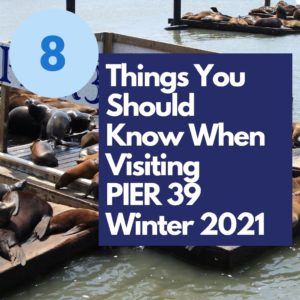 8 things to know when visiting PIER 39 over sea lion background