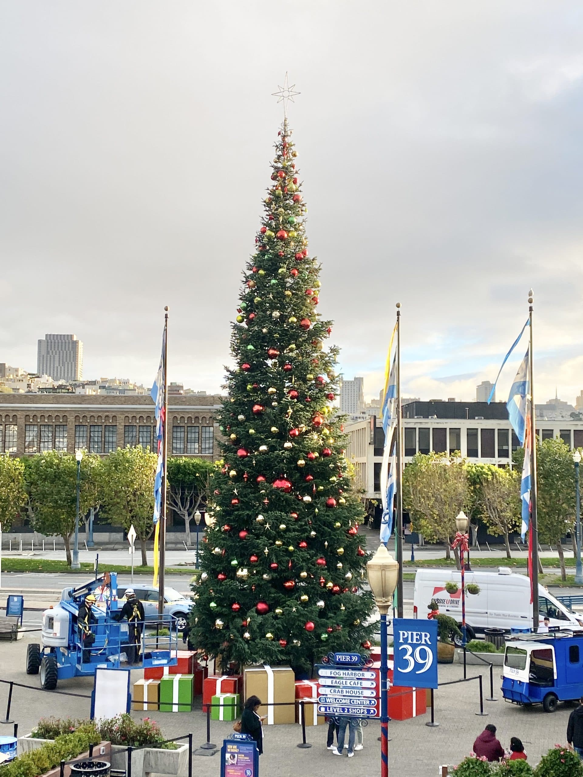 Pier 39 Christmas Tree