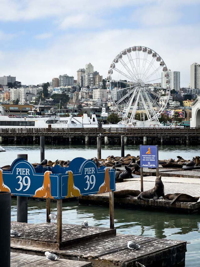 Pier 39 sign with the city in the background
